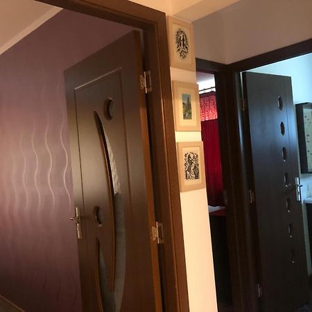 Apartament Cu 3 Camere La Poala Muntilor Fagaras Victoria  Esterno foto