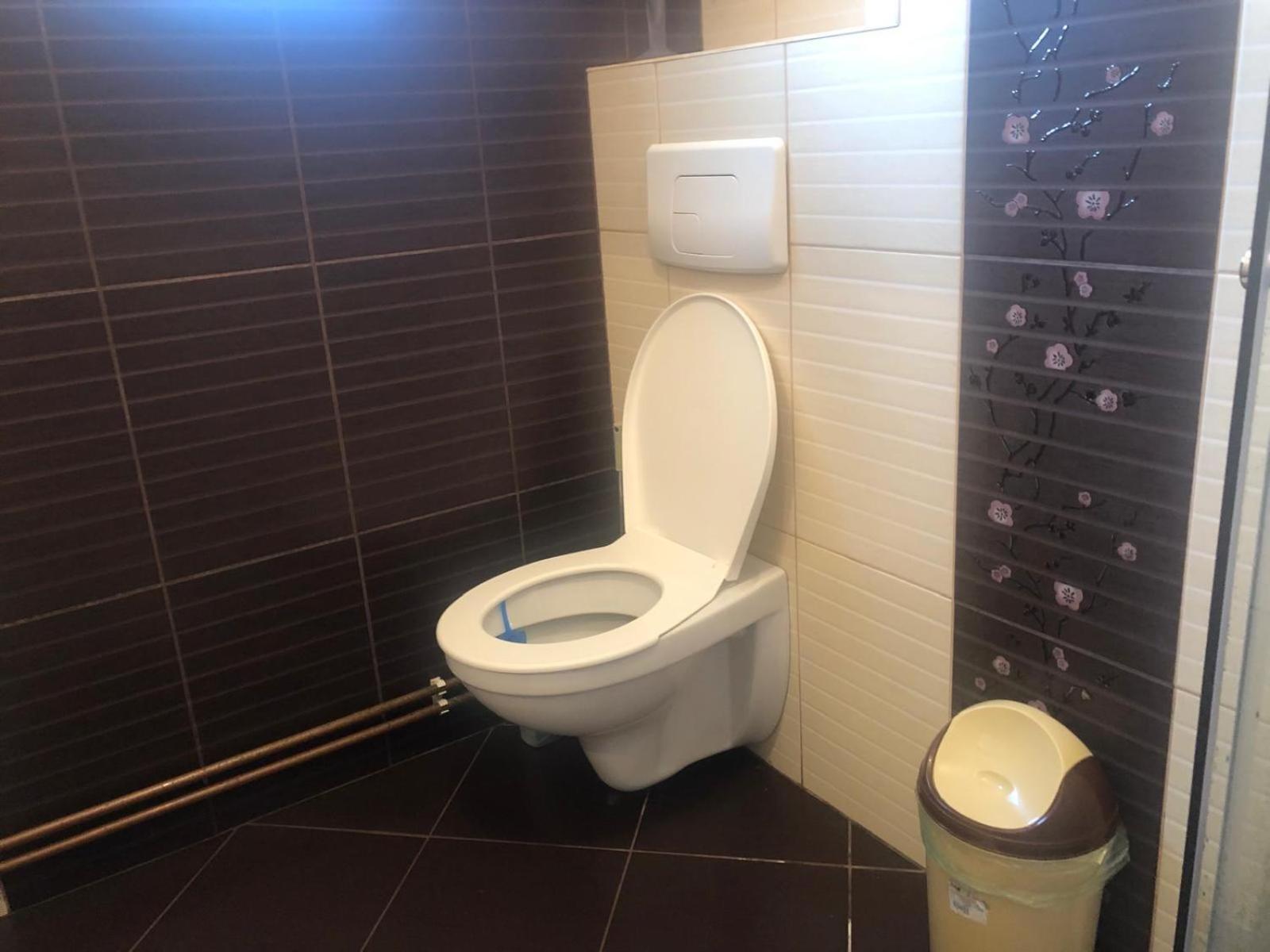 Apartament Cu 3 Camere La Poala Muntilor Fagaras Victoria  Esterno foto