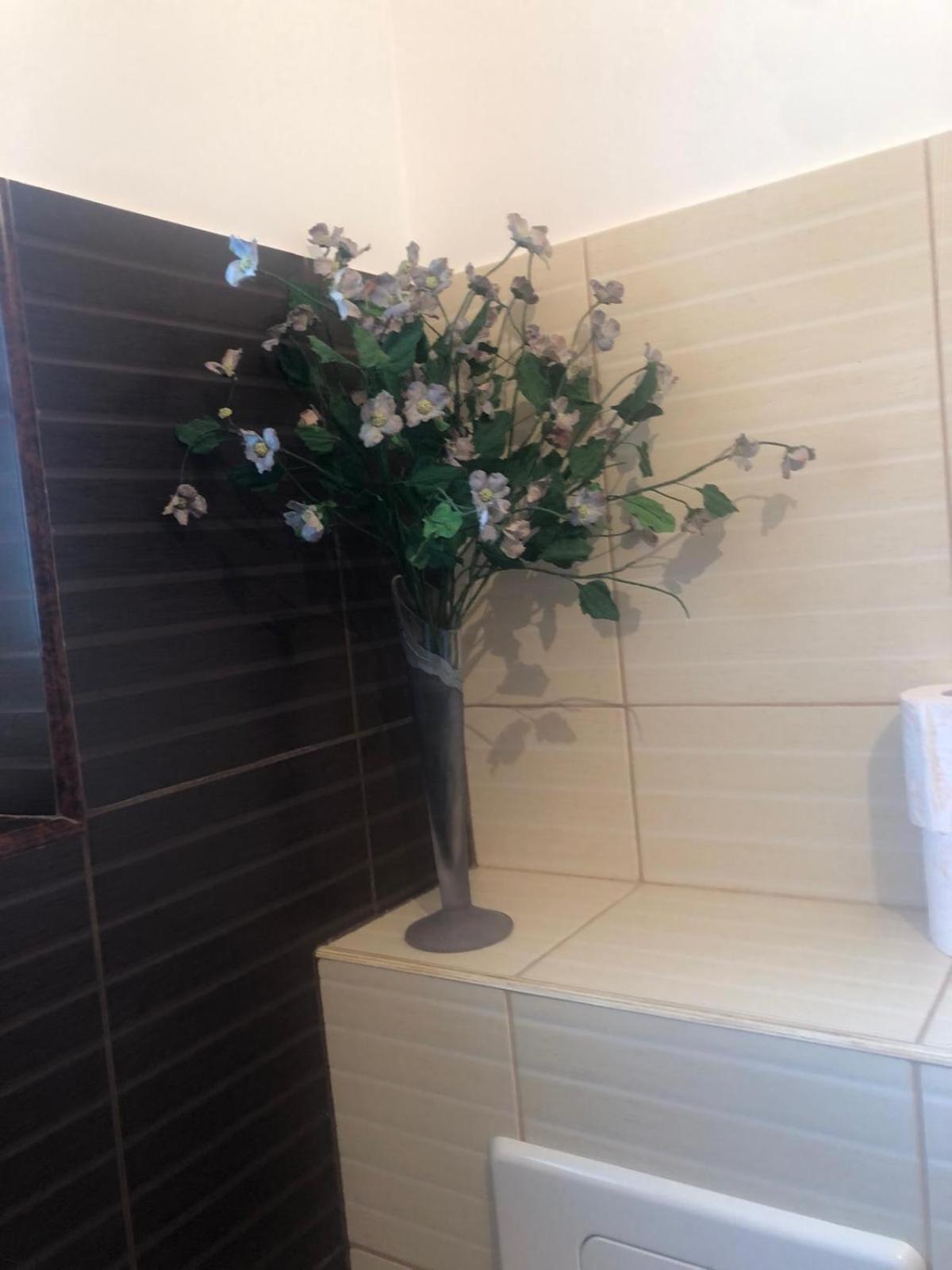 Apartament Cu 3 Camere La Poala Muntilor Fagaras Victoria  Esterno foto
