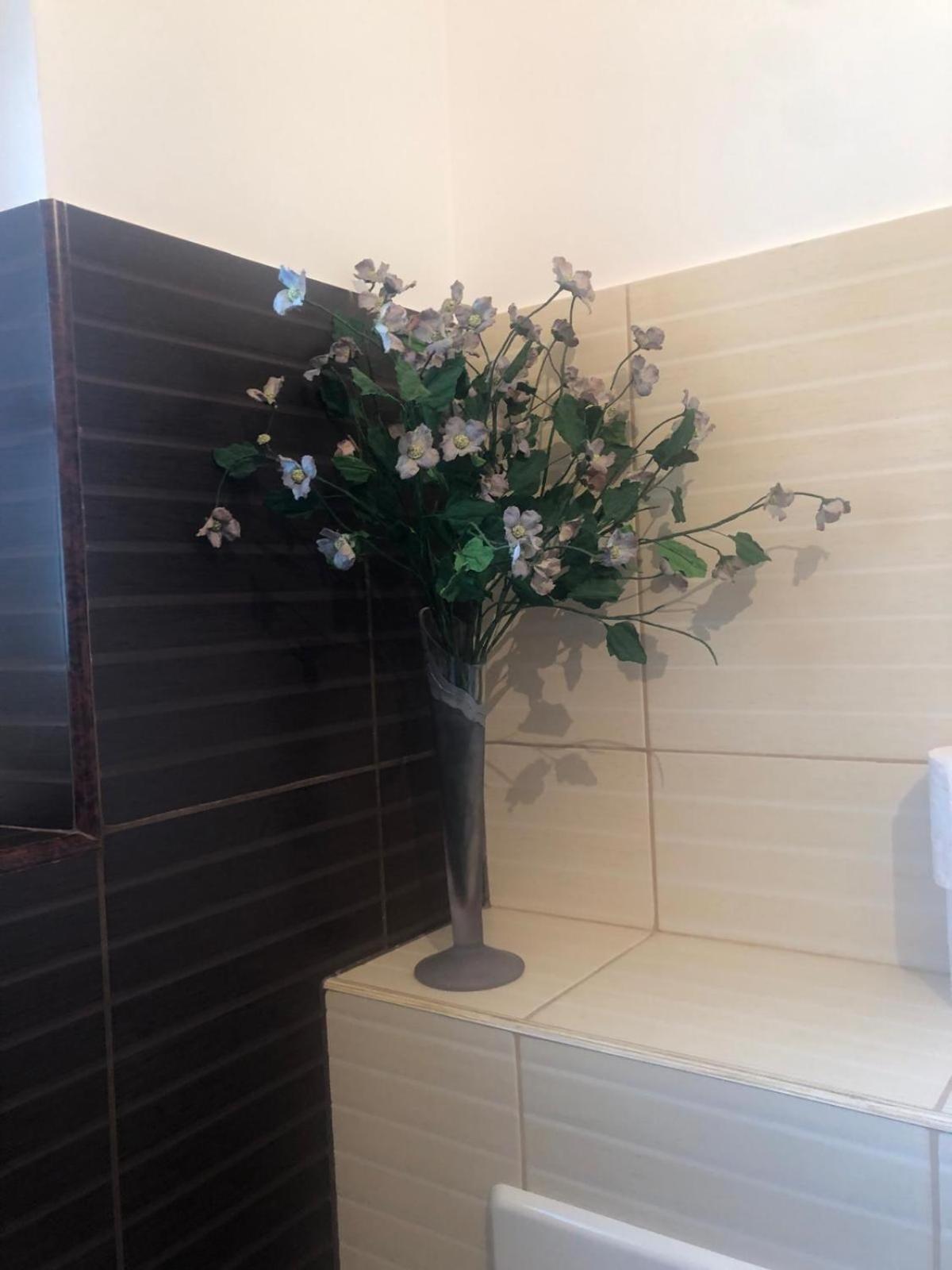 Apartament Cu 3 Camere La Poala Muntilor Fagaras Victoria  Esterno foto