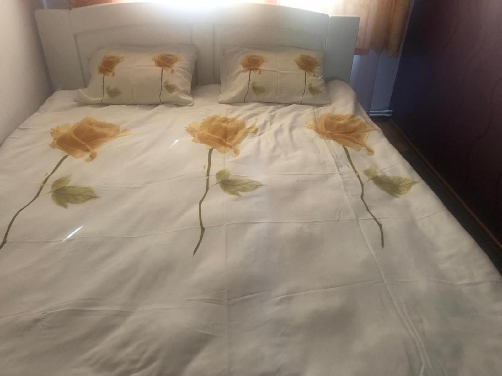 Apartament Cu 3 Camere La Poala Muntilor Fagaras Victoria  Esterno foto