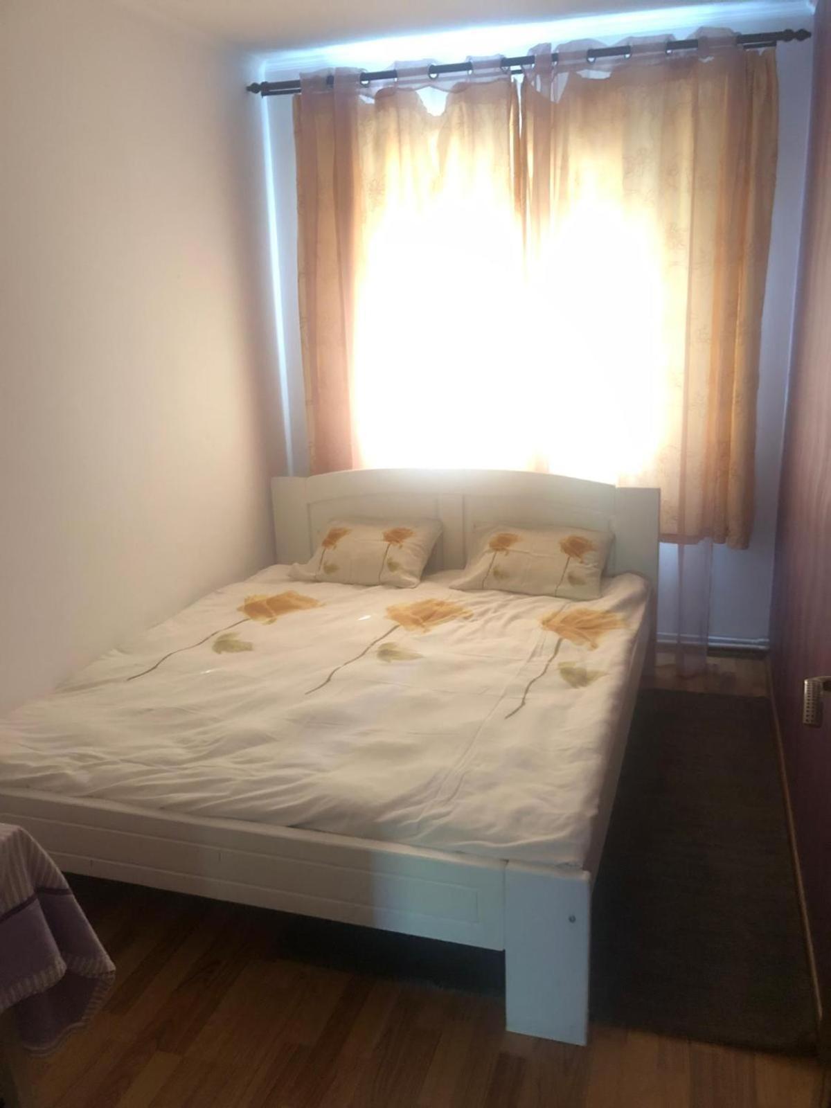 Apartament Cu 3 Camere La Poala Muntilor Fagaras Victoria  Esterno foto