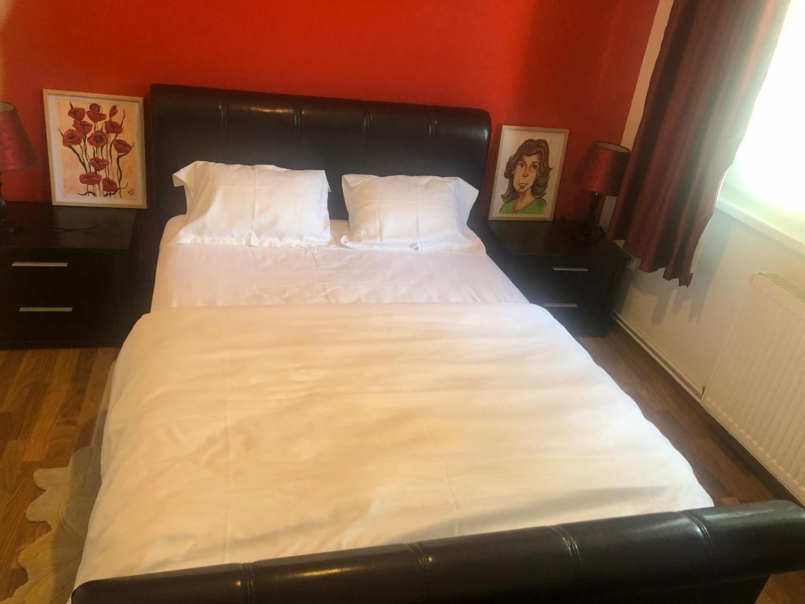Apartament Cu 3 Camere La Poala Muntilor Fagaras Victoria  Esterno foto